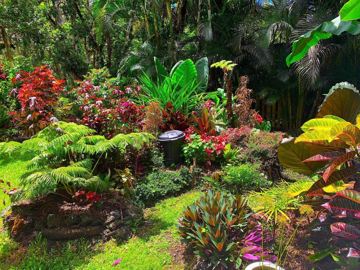 Phoenix Garden Pahoa Eksteriør bilde