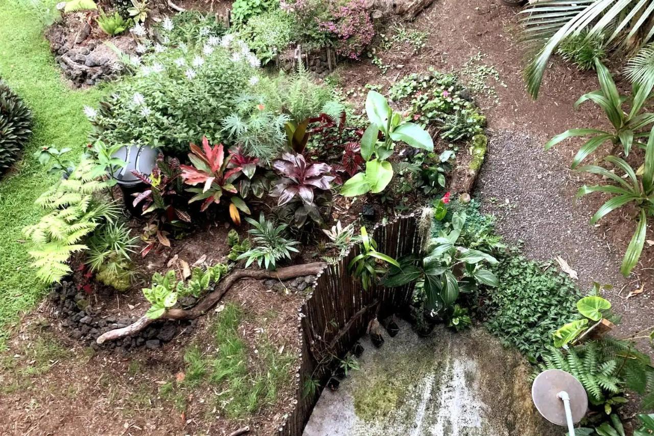Phoenix Garden Pahoa Eksteriør bilde