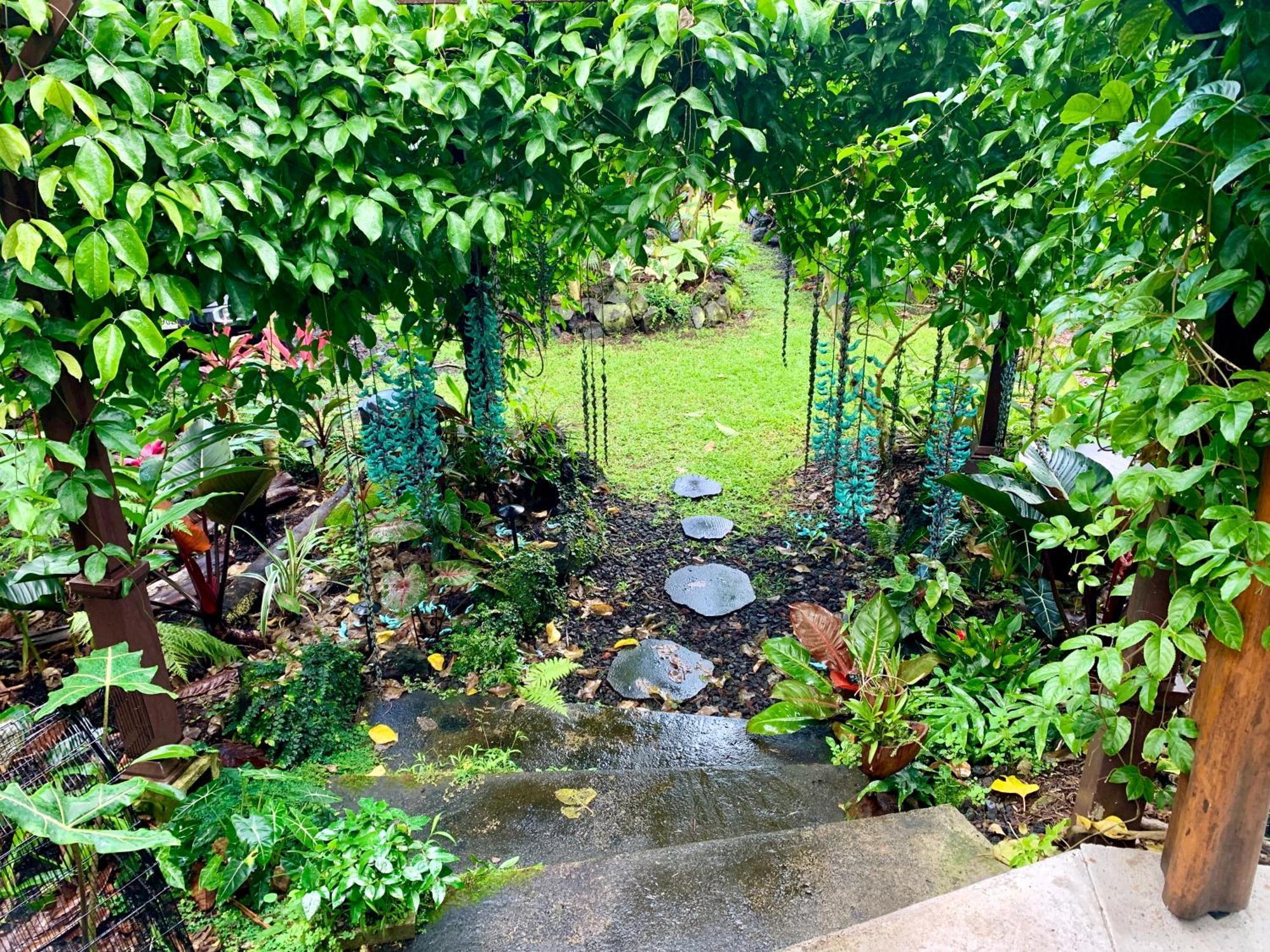 Phoenix Garden Pahoa Eksteriør bilde